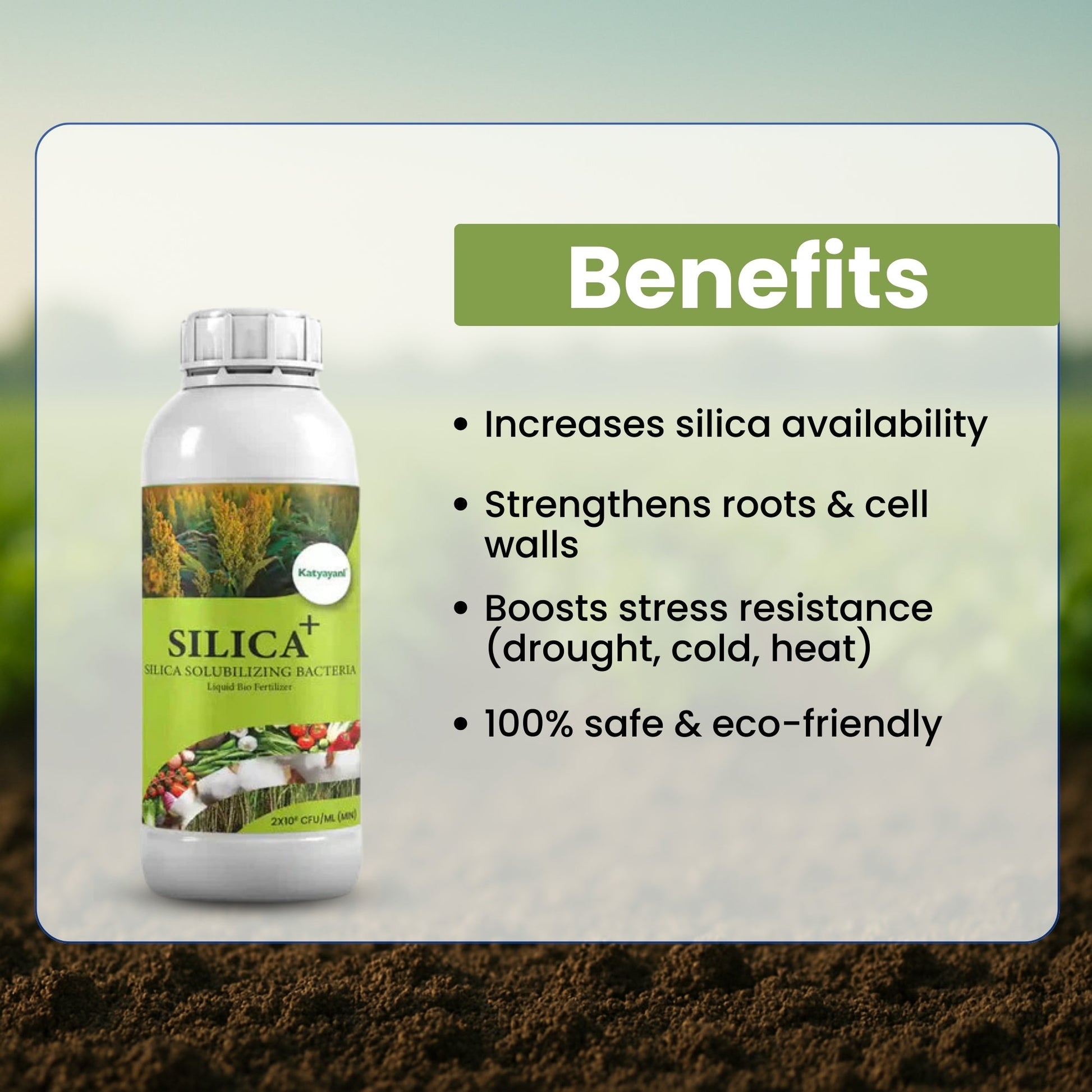 Buy 1, Get 2 Free – GGV SILICA+ GGV canada