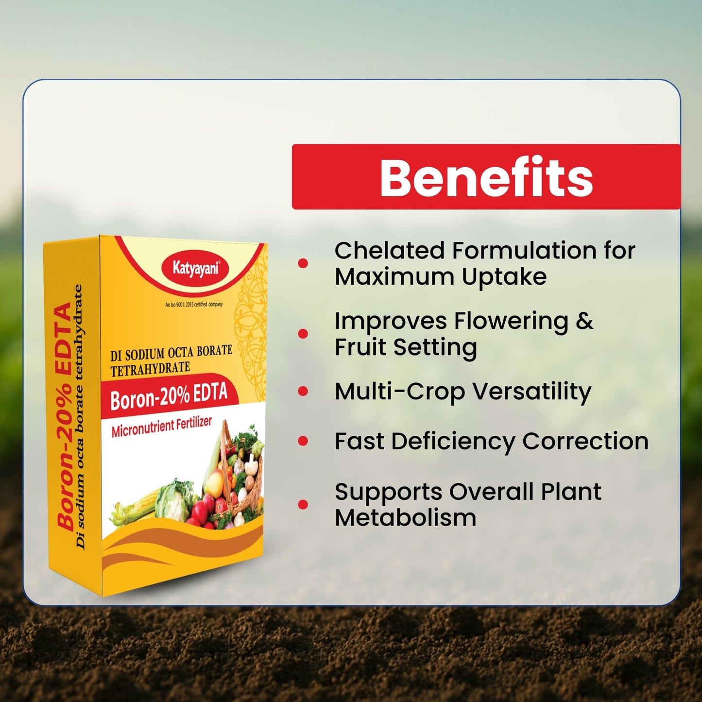 GGV Boron 20% EDTA | Micronutrient Fertilizer Green Garden Vibes