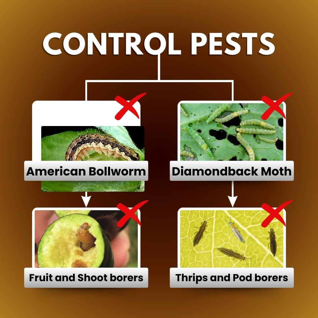 GGV Katyayani Spino45 – Natural Crop & Garden Support