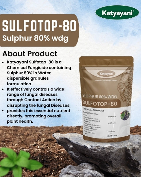 GGV Katyayani Sulfotop 80 Super Saver Pack – Buy 1, Get 2 Free GGV canada
