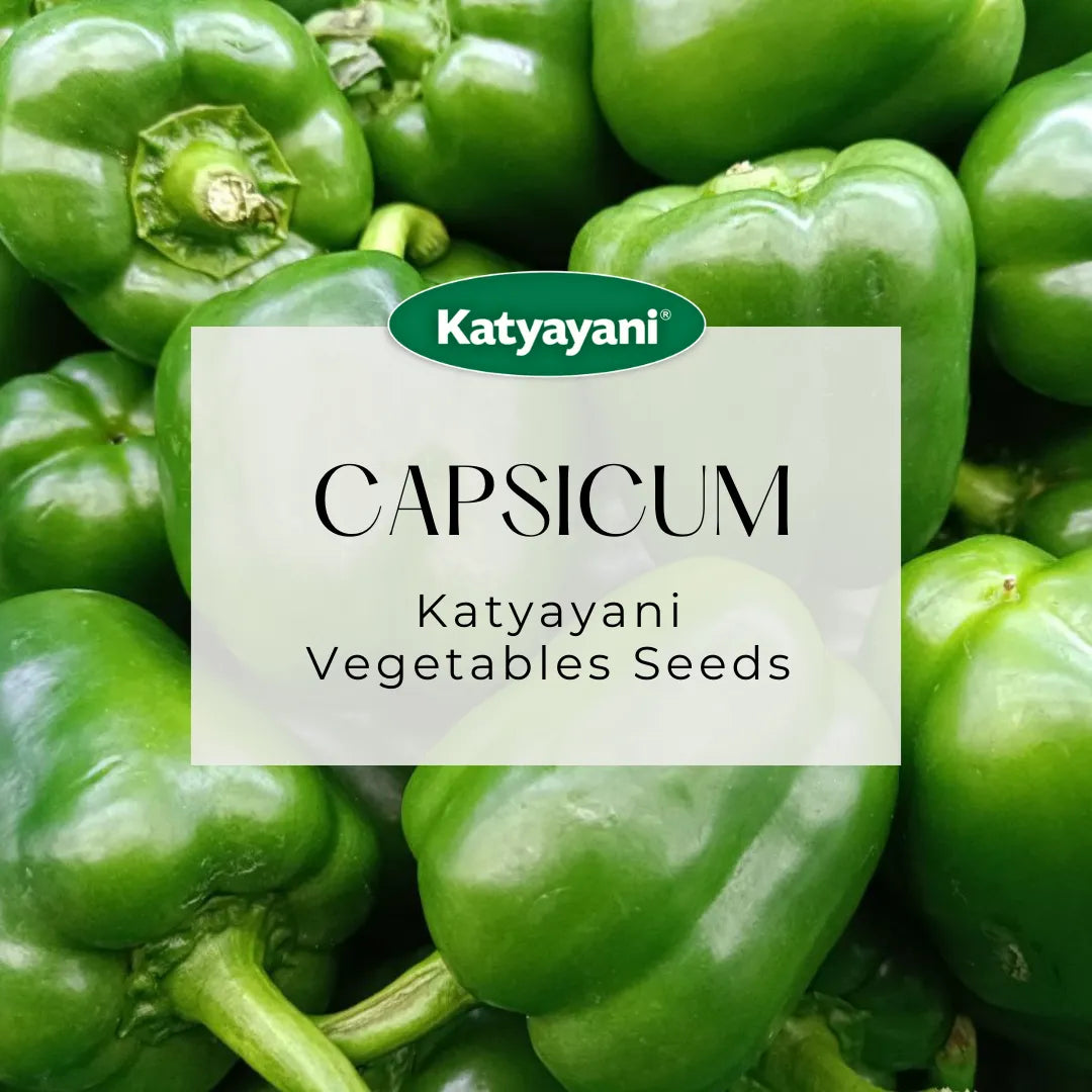 Green Capsicum Seeds