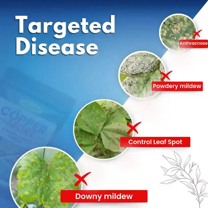 GGV Katyayani Copper Sulphate – Essential Copper Nutrition for Healthy Crops