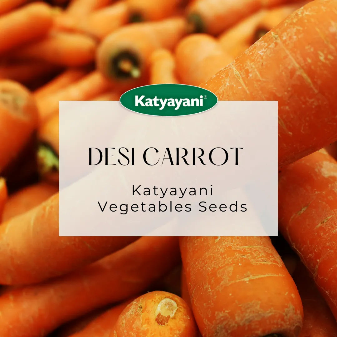 Desi Carrot (long) Vegetable Seeds