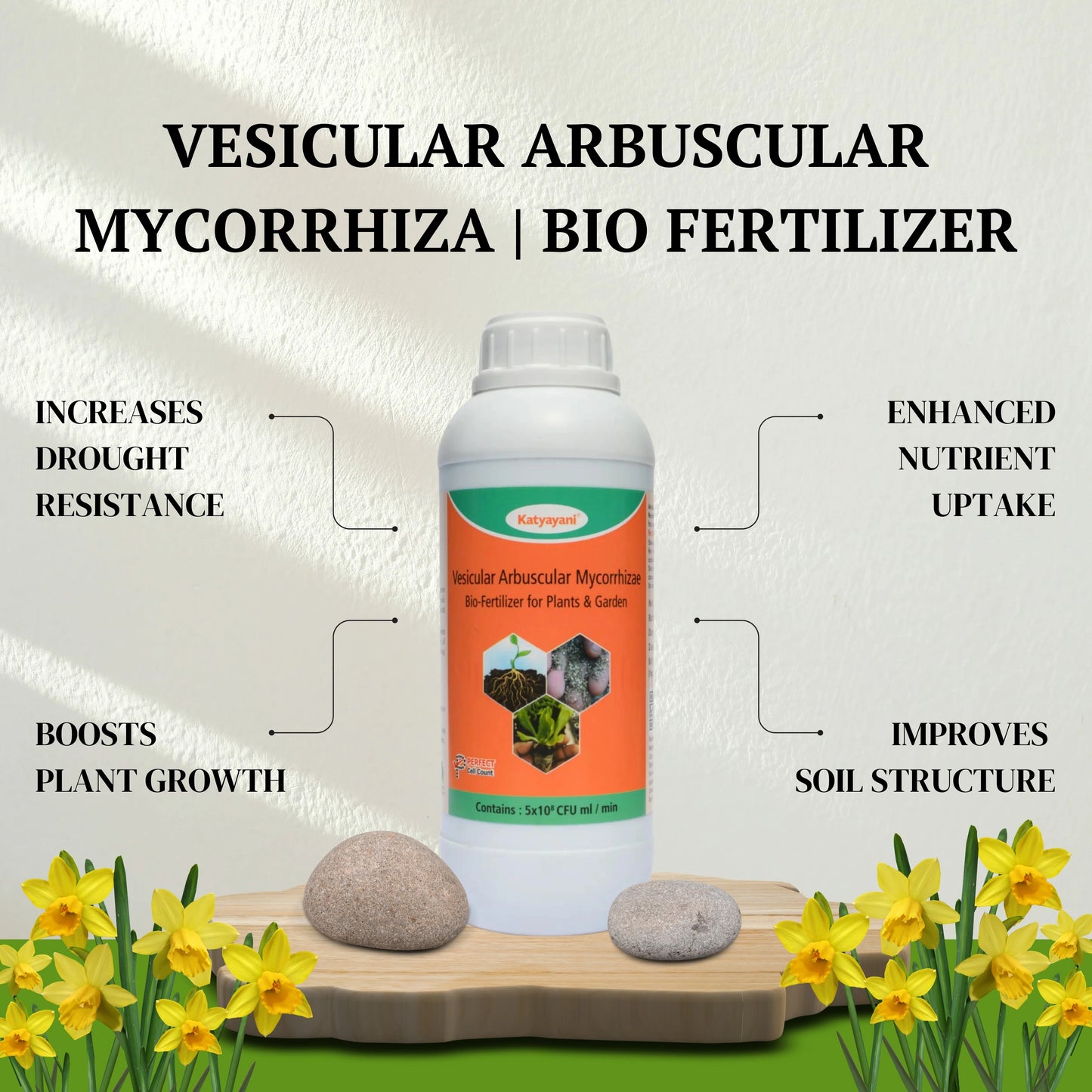 Vesicular Arbuscular Mycorrhiza | Bio fertilizer