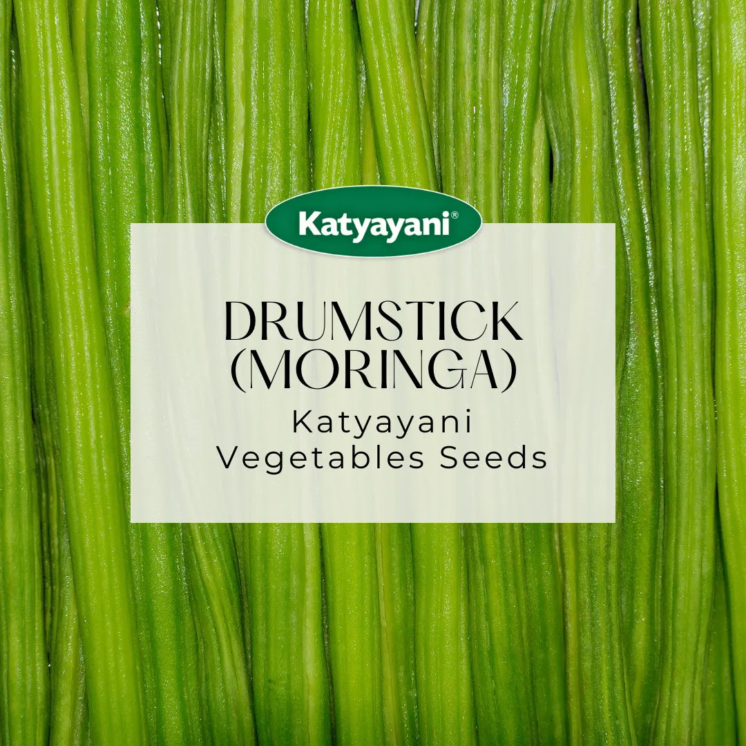 Drumstick(moringa) Vegetable Seeds