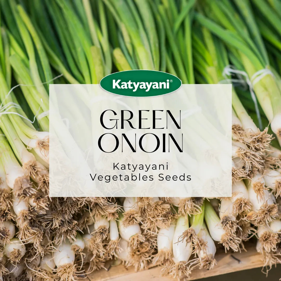 Green Onion (Leek) Vegetable Seeds