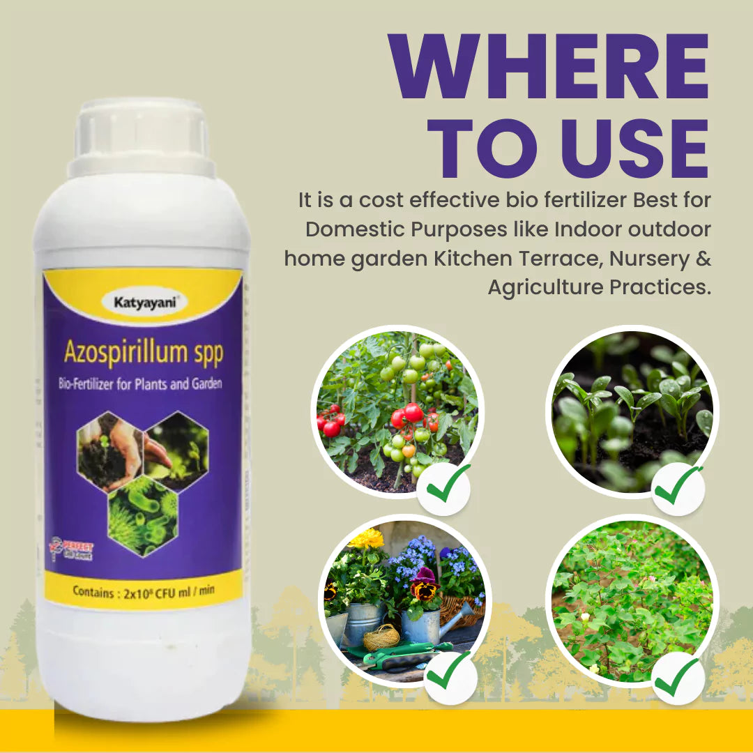 Azospirillum Bio Fertilizer