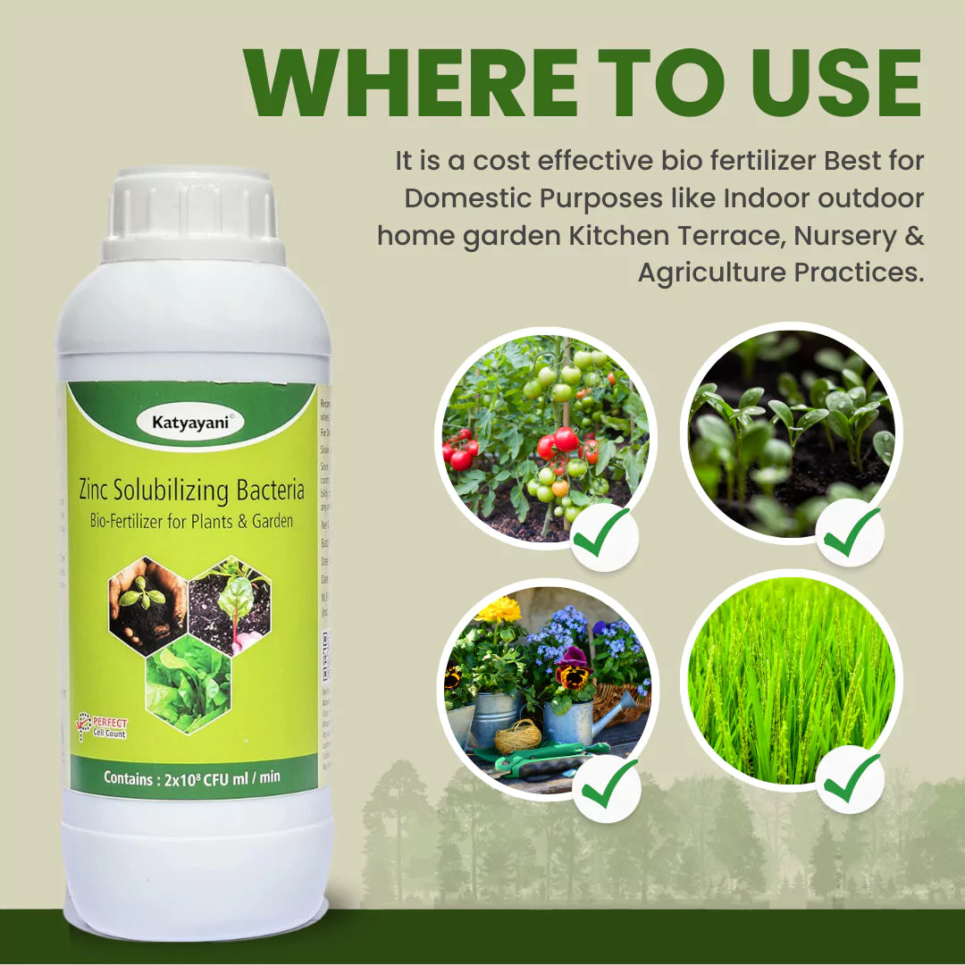 Zinc Solubilizing Bacteria Bio Fertilizer