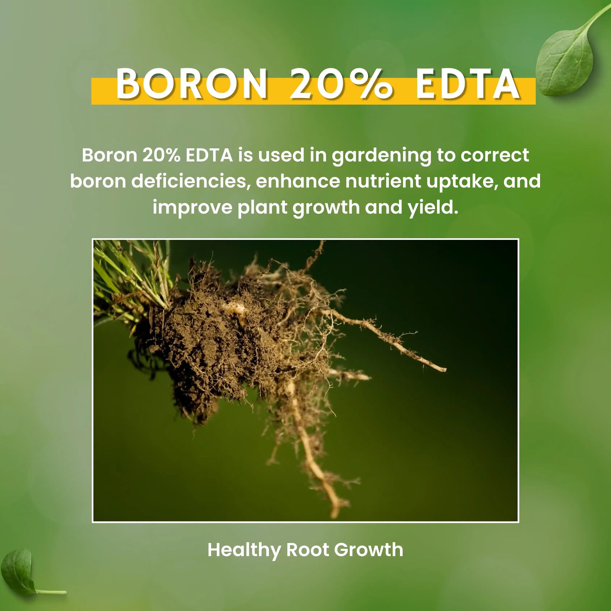 Green garden vibes boron fertilizer edta 20%
high quality boron fertilizer edta 20 %