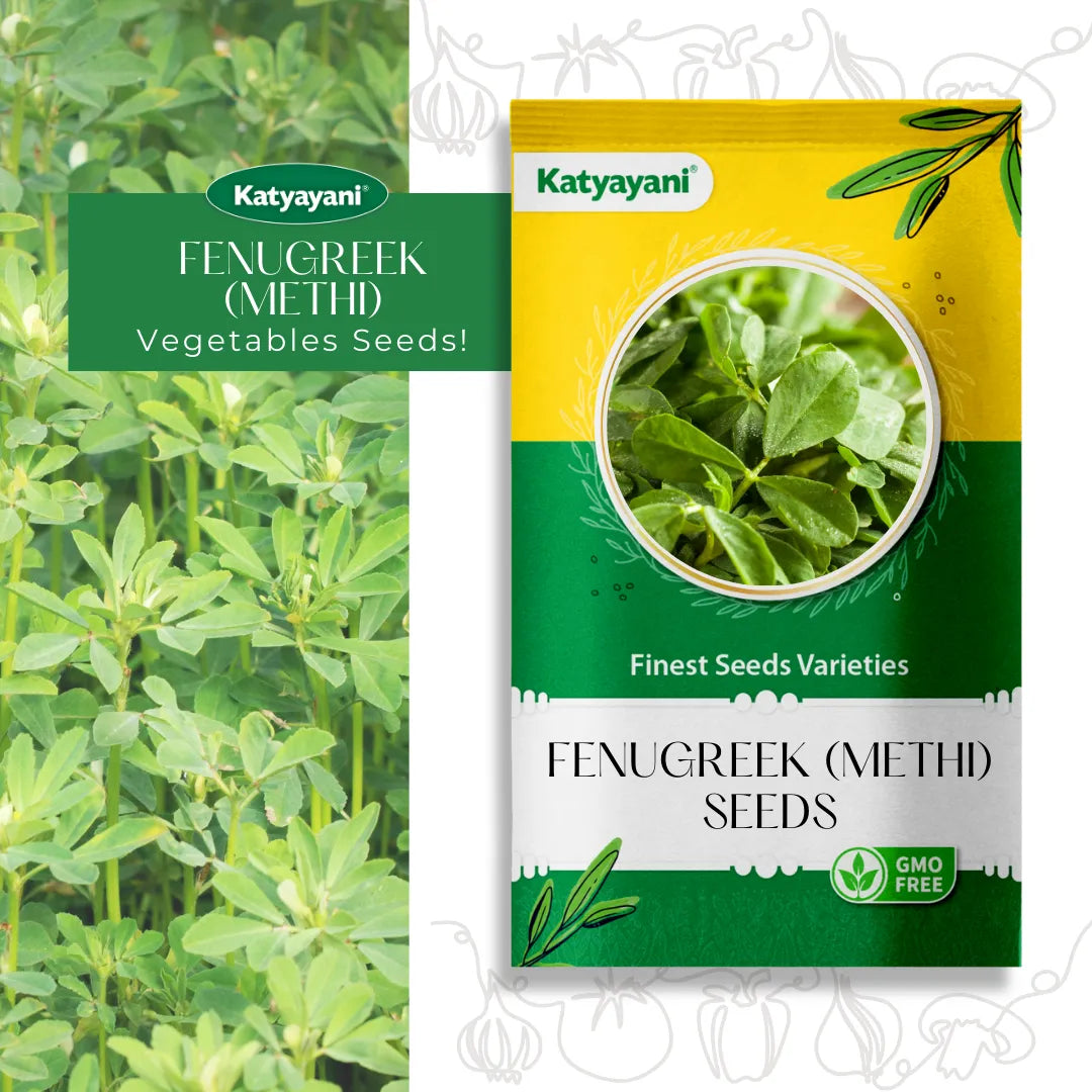 Fenugreek (Methi) Vegetable Seeds