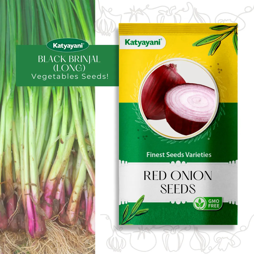 Red Onion Vegetable seeds