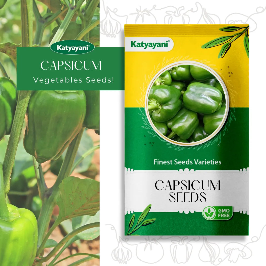 Green Capsicum Seeds