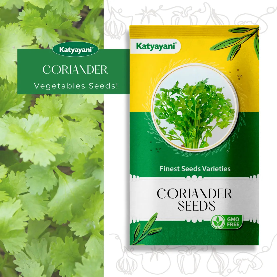 Coriander Vegetable seeds