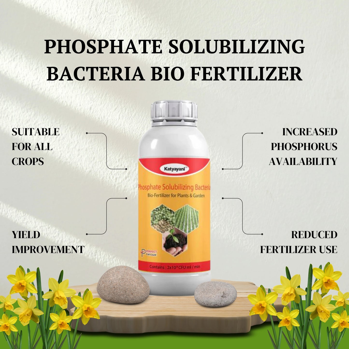 Phosphate Solubilizing Bacteria Bio fertilizer