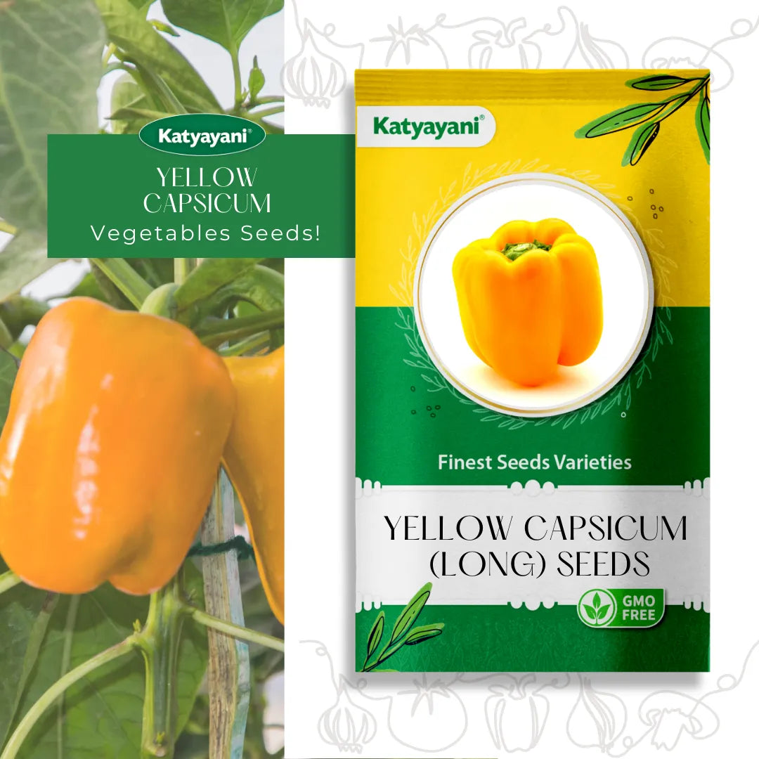 Yellow Capsicum Seeds