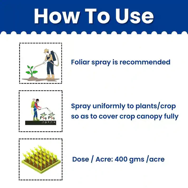 GGV Katyayani Copper Sulphate – Essential Copper Nutrition for Healthy Crops