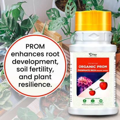GGV Prom Organic Fertilizer | Phosphate Rich Organic Manure Green Garden Vibes Canada