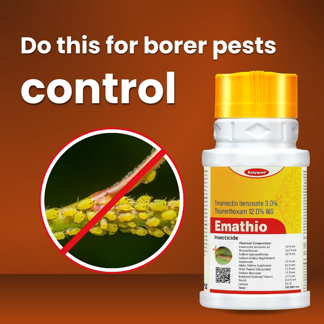 GGV EMATHIO | EMAMECTIN BENZOATE 3% + THIAMETHOXAM 12% WG | CHEMICAL INSECTICIDE