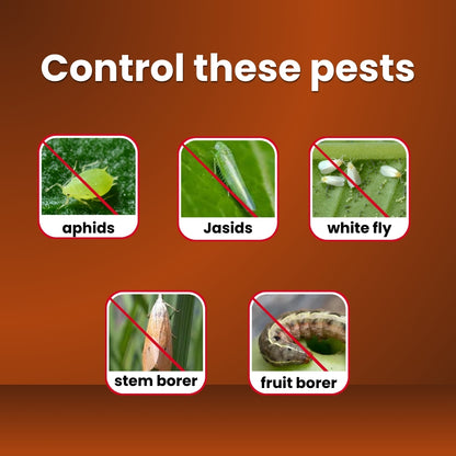 GGV EMATHIO | EMAMECTIN BENZOATE 3% + THIAMETHOXAM 12% WG | CHEMICAL INSECTICIDE