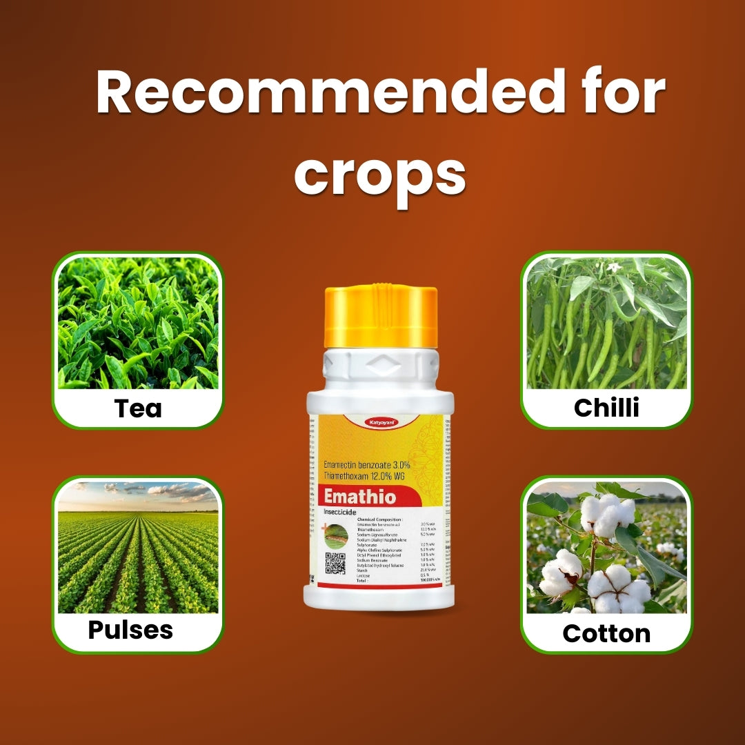 GGV EMATHIO | EMAMECTIN BENZOATE 3% + THIAMETHOXAM 12% WG | CHEMICAL INSECTICIDE