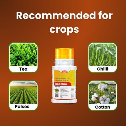 GGV EMATHIO | EMAMECTIN BENZOATE 3% + THIAMETHOXAM 12% WG | CHEMICAL INSECTICIDE