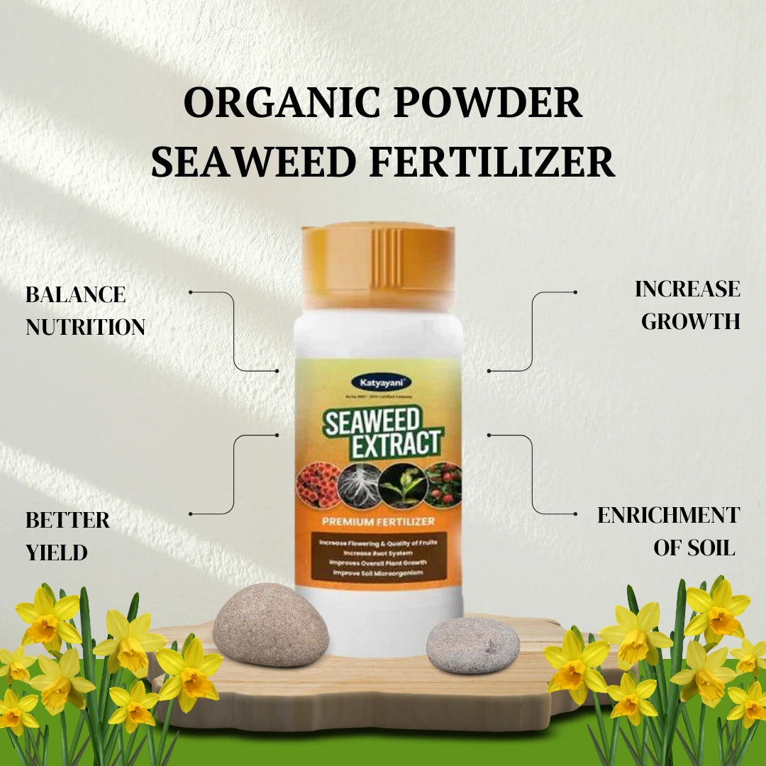 Organic Seaweed Fertilizer