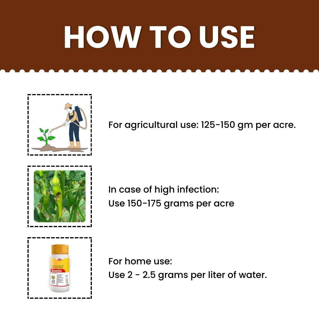 GGV EMATHIO | EMAMECTIN BENZOATE 3% + THIAMETHOXAM 12% WG | CHEMICAL INSECTICIDE