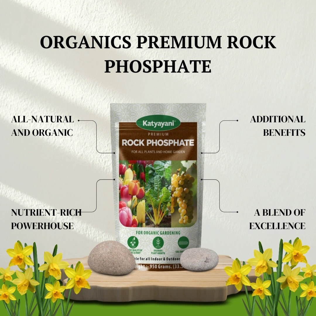 Organic Premium Rock Phosphate