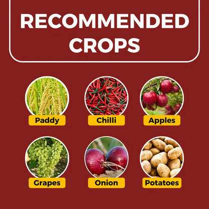 GGV Dr. Zole – Dual-Action Crop Protection Solution