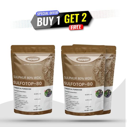 GGV Katyayani Sulfotop 80 Super Saver Pack – Buy 1, Get 2 Free GGV canada
