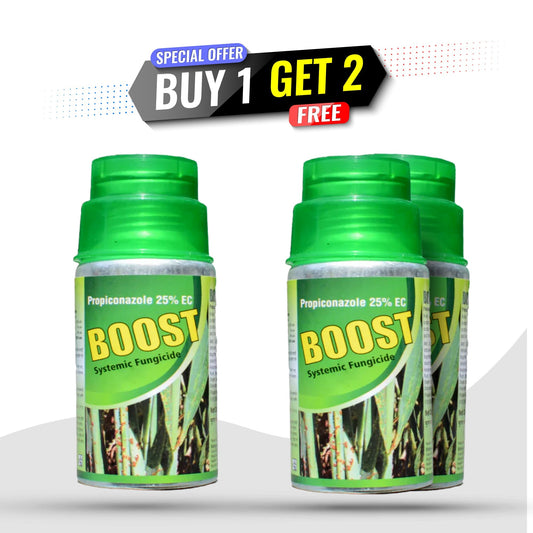 GGV Katyayani Boost Triple Shield Pack – Buy 1, Get 2 Free GGV canada