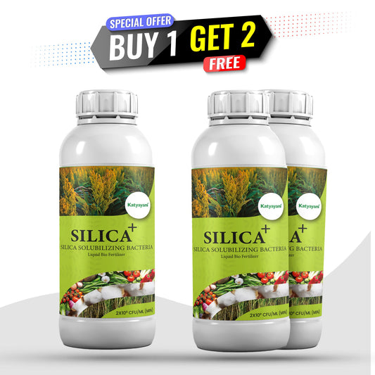 Buy 1, Get 2 Free – GGV SILICA+ GGV canada
