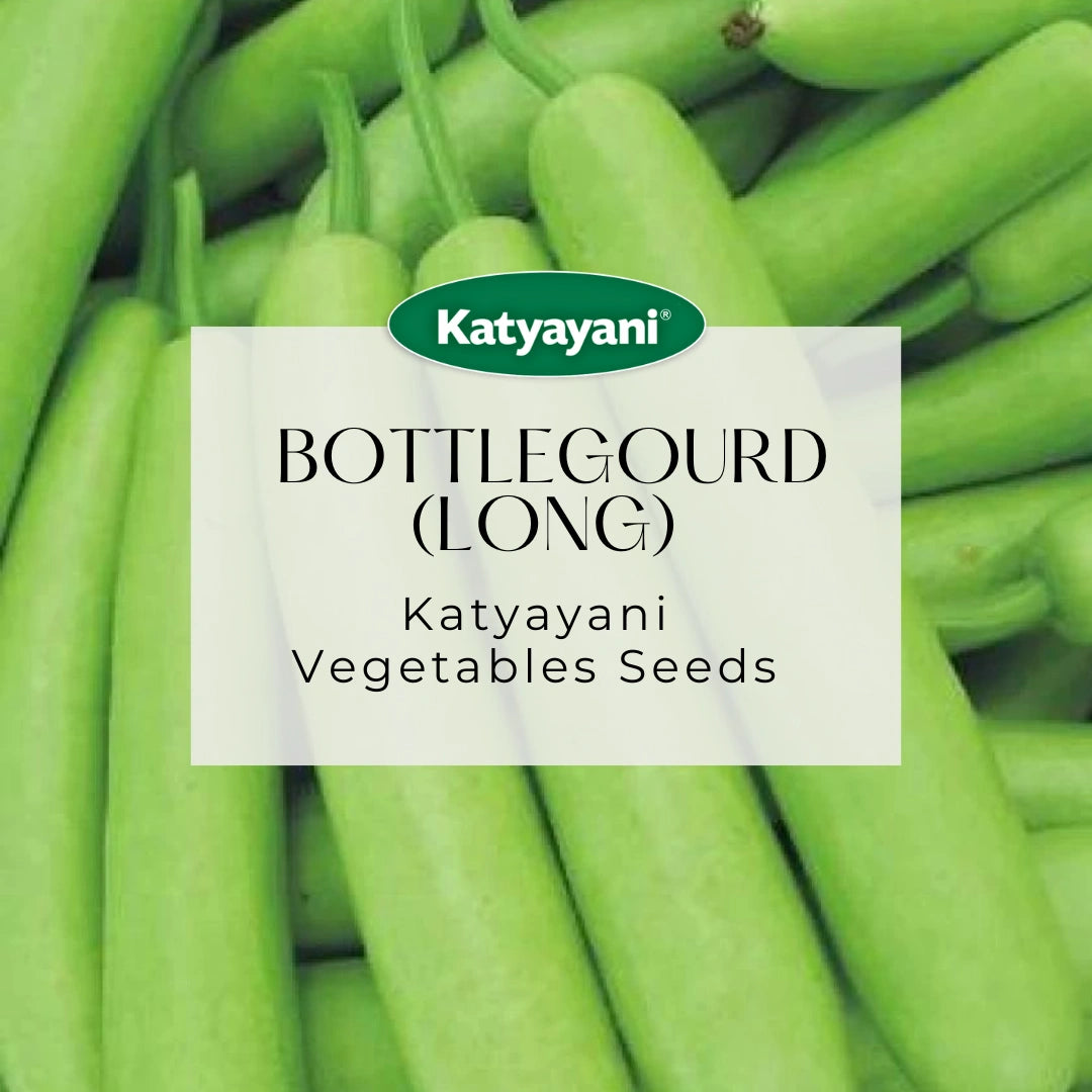 Bottlegourd Seeds (Long) Vegetable Seed