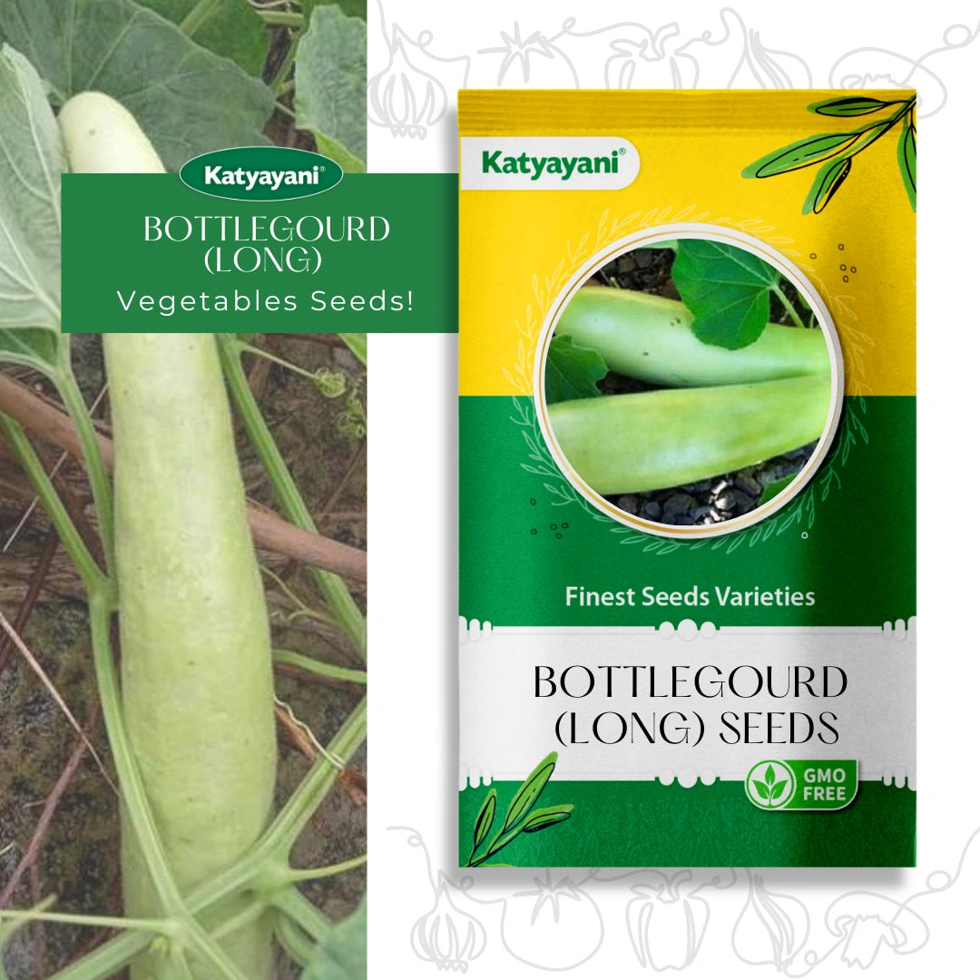 Bottlegourd Seeds (Long) Vegetable Seed