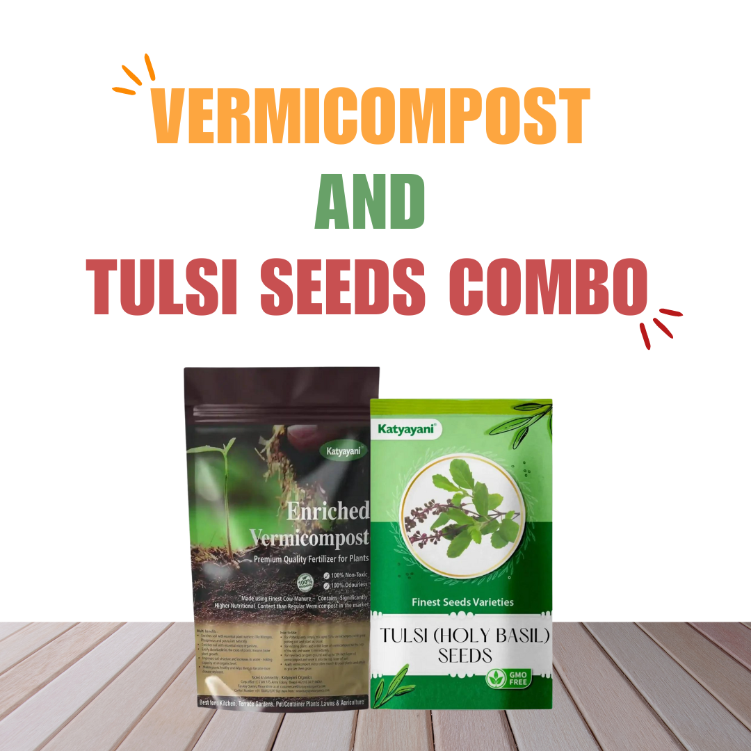 Tulsi (Holy Basil) Grow it yourself kit