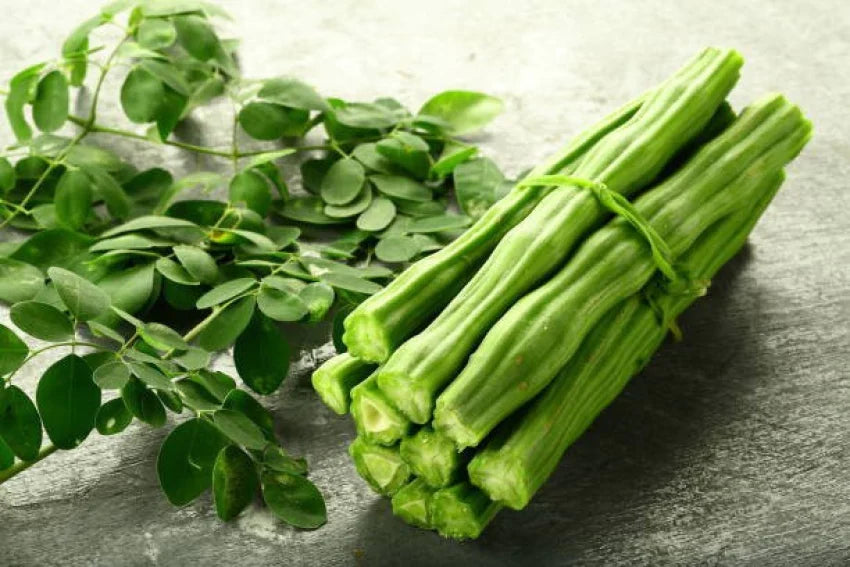 Drumstick(moringa) Vegetable Seeds