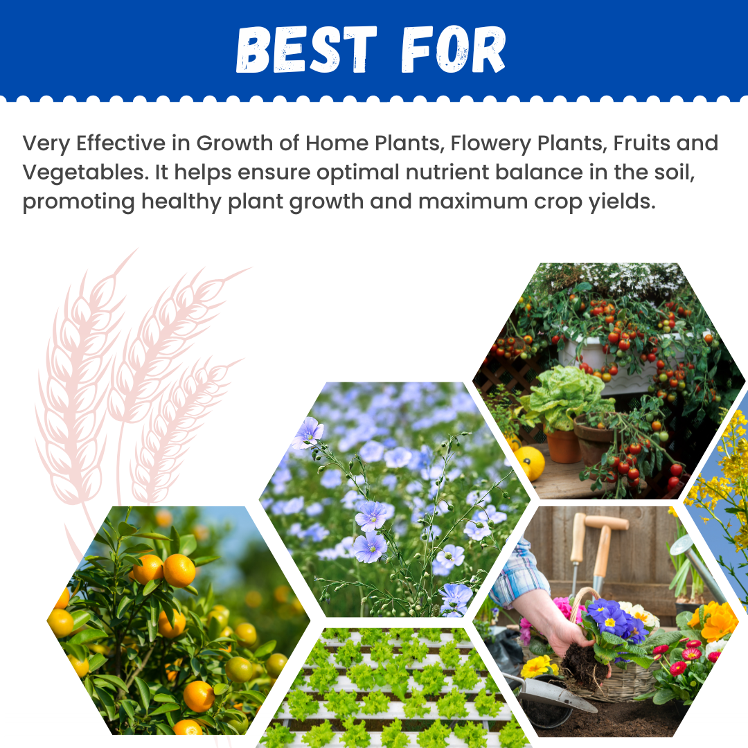 GGV NPK 12 61 00 | Fertilizer Green Garden Vibes