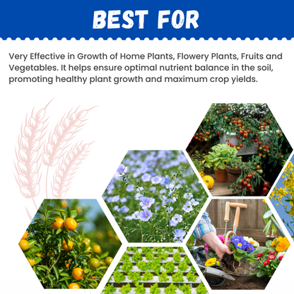GGV NPK 12 61 00 | Fertilizer Green Garden Vibes