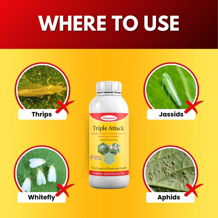 Katyayani Triple Attack | Bio Crop Care Solution | Verticillium + Beauveria + Metarhizium | Canada GGV canada