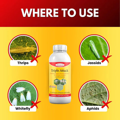 Katyayani Triple Attack | Bio Crop Care Solution | Verticillium + Beauveria + Metarhizium | Canada GGV canada