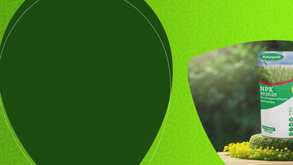 GGV NPK 20 20 20 fertiliser for plants