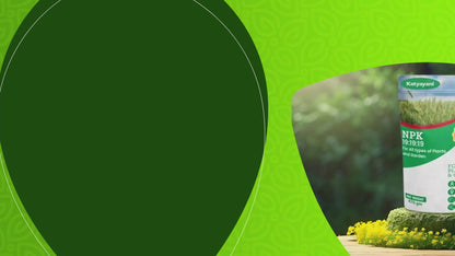 GGV fertiliser NPK 19 19 19 100%
