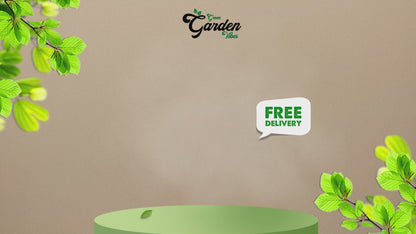 GGV Alpha Arbutin Powder | Cosmetic Grade Brightening Agent for Skincare Formulations
