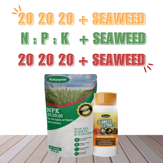 Green garden vibes 20 20 20 fertilizer and seaweed extract
Best quality 20 20 20 fertilizer and seaweed extract